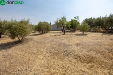 Finca rústica en calle de Moraleda A Cómpeta