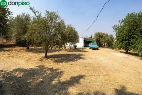 Finca rústica en calle de Moraleda A Cómpeta