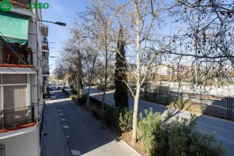 Piso en Avenida de Maracena