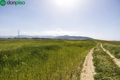 Terreno en Carretera de Otura, 6