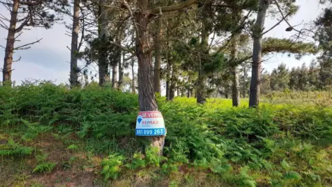 Terreno en calle Lugar Val Arriba, nº 3