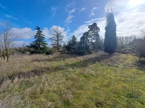 Chalet en Camino de la Pesqueruela, 7