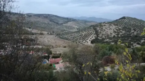 Terreno en Urbanización de Montesol