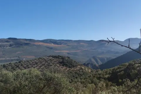 Terreno en calle Cortijo de Mora y Marañon