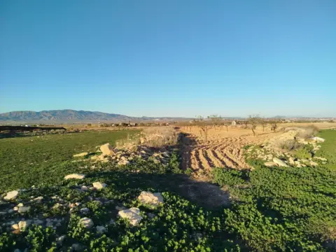 Terreno en Campillo de Arriba