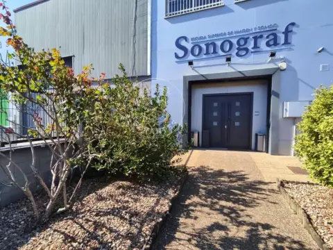 Nave industrial en calle P, 60