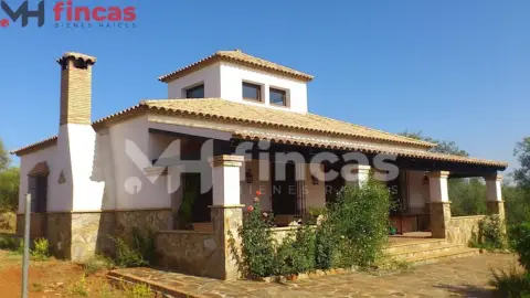 Finca rústica en calle de Las Navas A Puebla de los Infantes, nº 10