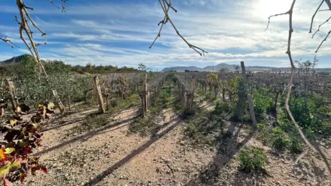Finca rústica en calle de Agosto, 2