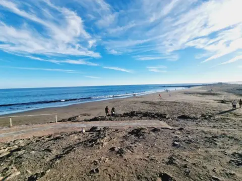 Piso en calle Las Adelfas