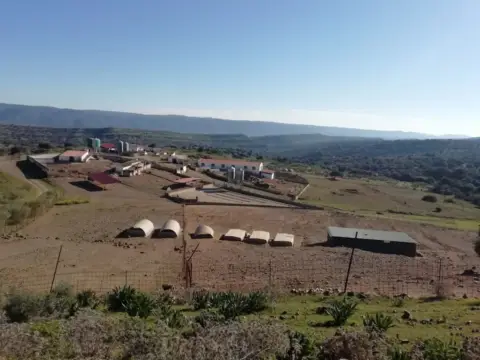 Finca rústica en calle Almadén de La Plata