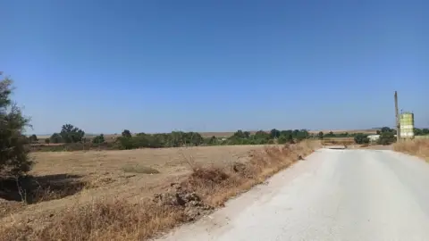 Terreno en calle Guillena-T Reina(Se-188)