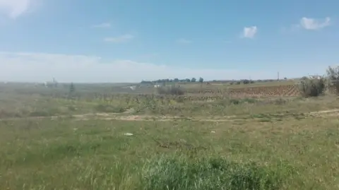 Finca rústica en calle de los Hinojos