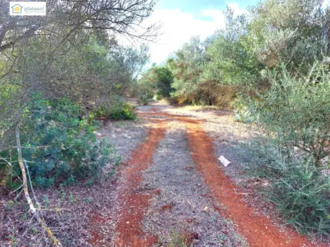 Terreno en calle Camino de los Arrieros