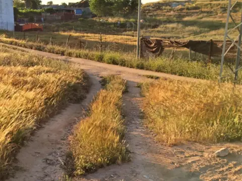 Terreno en calle de Beethoven, 3
