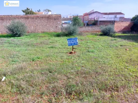 Terreno en calle Alegrías