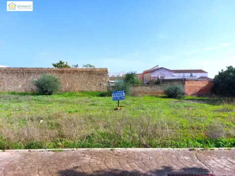 Terreno en calle Alegrías
