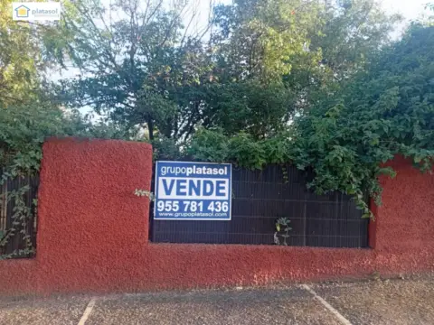 Terreno en calle de Alcaudón
