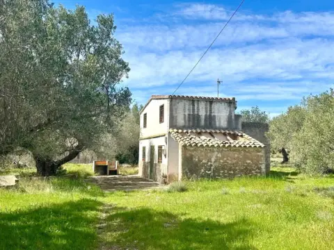Finca rústica en Afueras del Pueblo