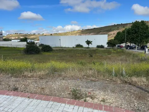 Terreno en El Sotillo