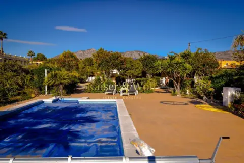 Chalet en calle Partida Lomas Gp. 2, nº 161