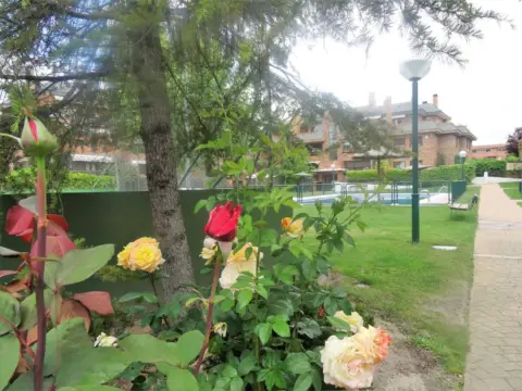 Ático en calle de las Islas Pitiusas, 2