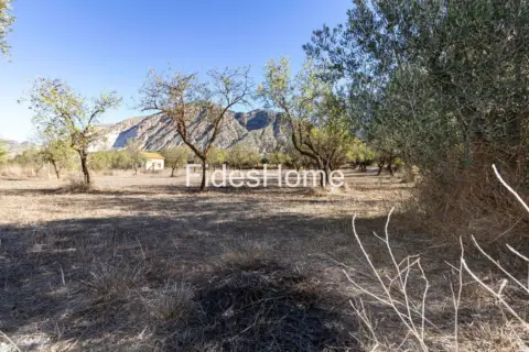 Terreno en calle Xcfx+Cx5 Acequias