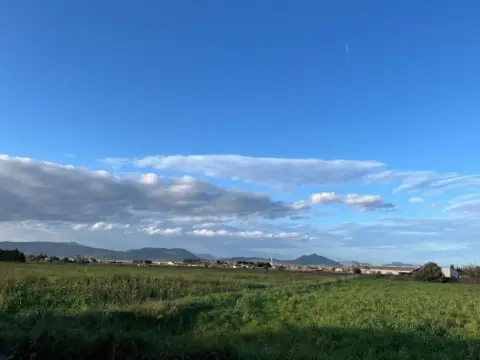 Finca rústica en Muro Afueras
