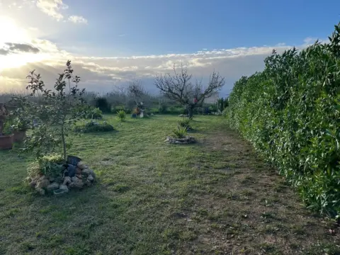 Finca rústica en Muro Afueras
