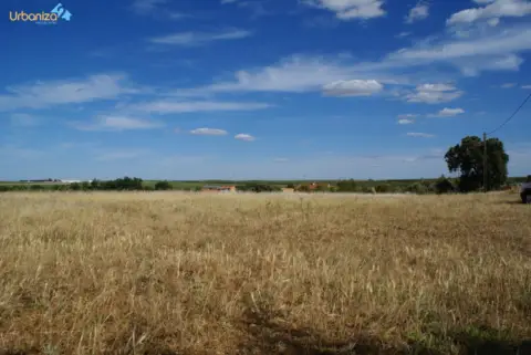 Terreno en Carretera de Campomayor