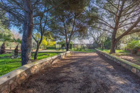 Chalet en Las Vaguadas