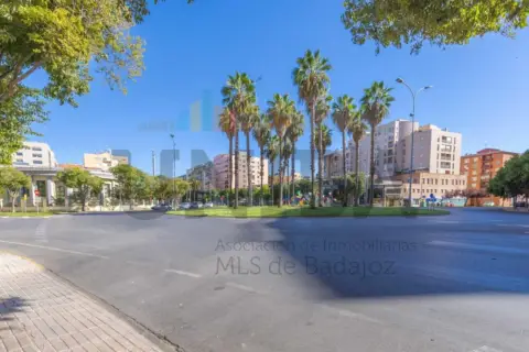 Piso en Avenida de Sinforiano Madroñero