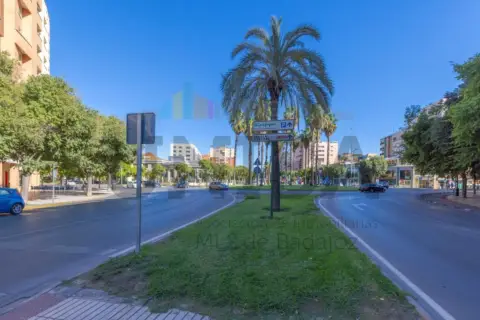 Piso en Avenida de Sinforiano Madroñero