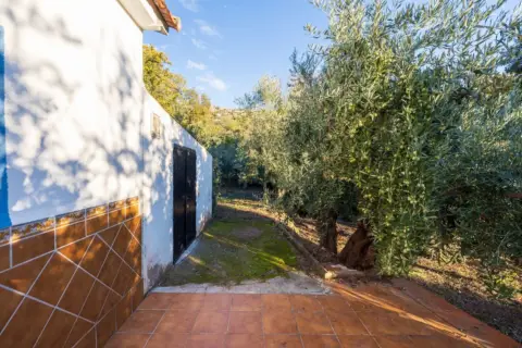 Finca rústica en calle Extrarradio