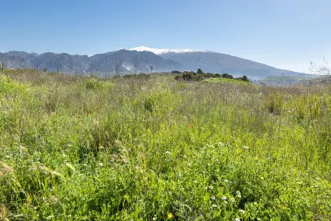 Terreno en Conchar