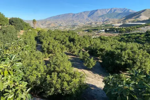 Finca rústica en Norte