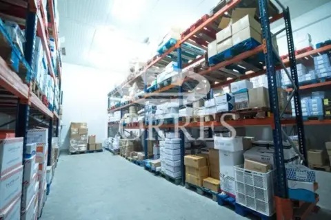 Nave industrial en Polígonos - Recinto Ferial