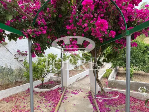Chalet en Montes de Málaga