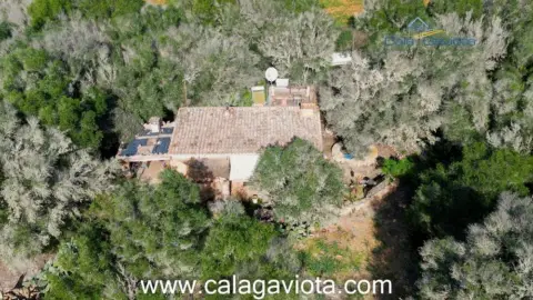 Finca rústica en Ses Salines (Mallorca)