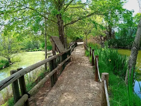 Finca rústica en Urbanitzacions I Pedanies Sud