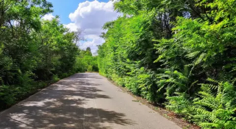 Finca rústica en Carretera de Sotuélamos