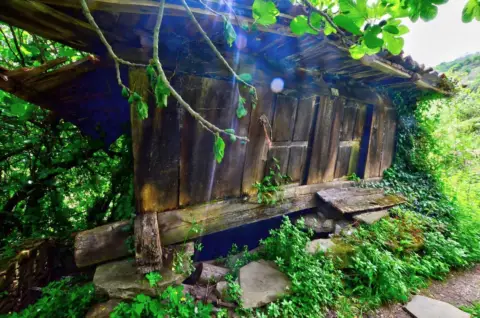 Finca rústica en calle Polígono 18, nº 29692