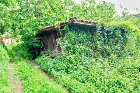 Finca rústica en calle Polígono 18, nº 29692