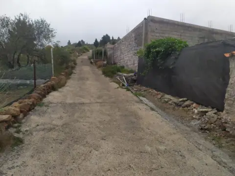 Finca rústica en Vera de Erques