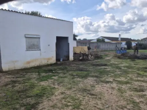 Finca rústica en Puebla del Rio
