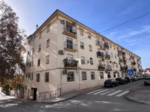 Piso en calle del Maestro Rodríguez López