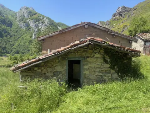 Finca rústica en calle Cuevas