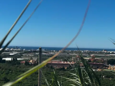 Terreno en calle Zorreras. Poligono 29 Parcela 43