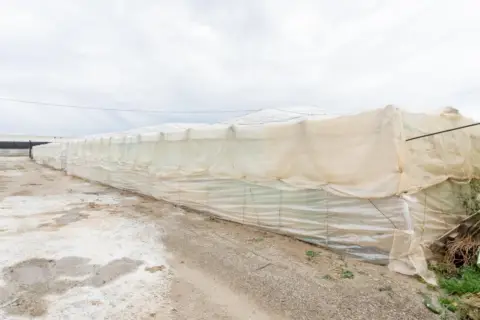 Terreno en calle Ua Carchuna Chucha