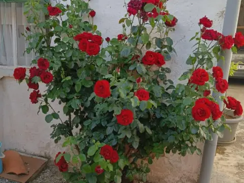 Casa en Castilla y Leon