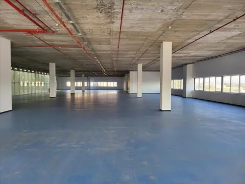 Local comercial en calle Centro Comercial Bonaire, nº 2